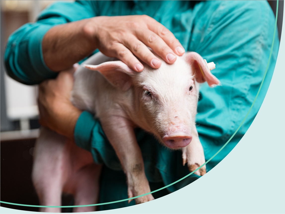 About Us - Merck Animal Health Canada