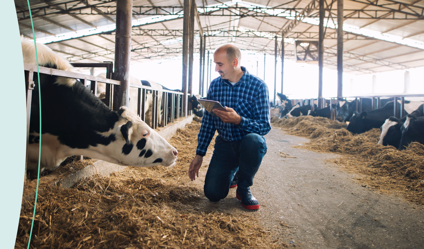 Products - Merck Animal Health Canada