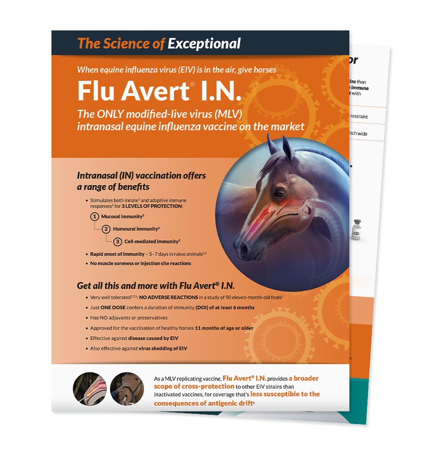 A brochure on FLU AVERT I.N.™, the only modified-live virus intranasal equine influenza vaccine.