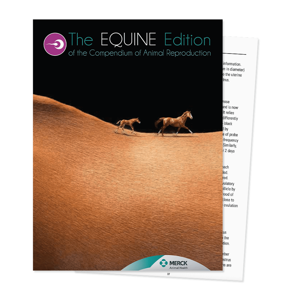 A brochure on reproduction in horses and usable solutions to challenges