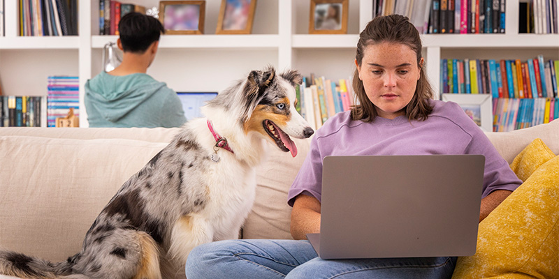 A woman typing on her laptop with her dog sitting by her side on the couch.