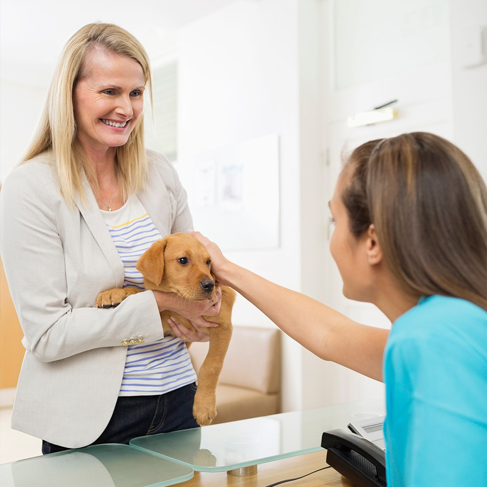 Woman holding a puppy at a vet clinic.