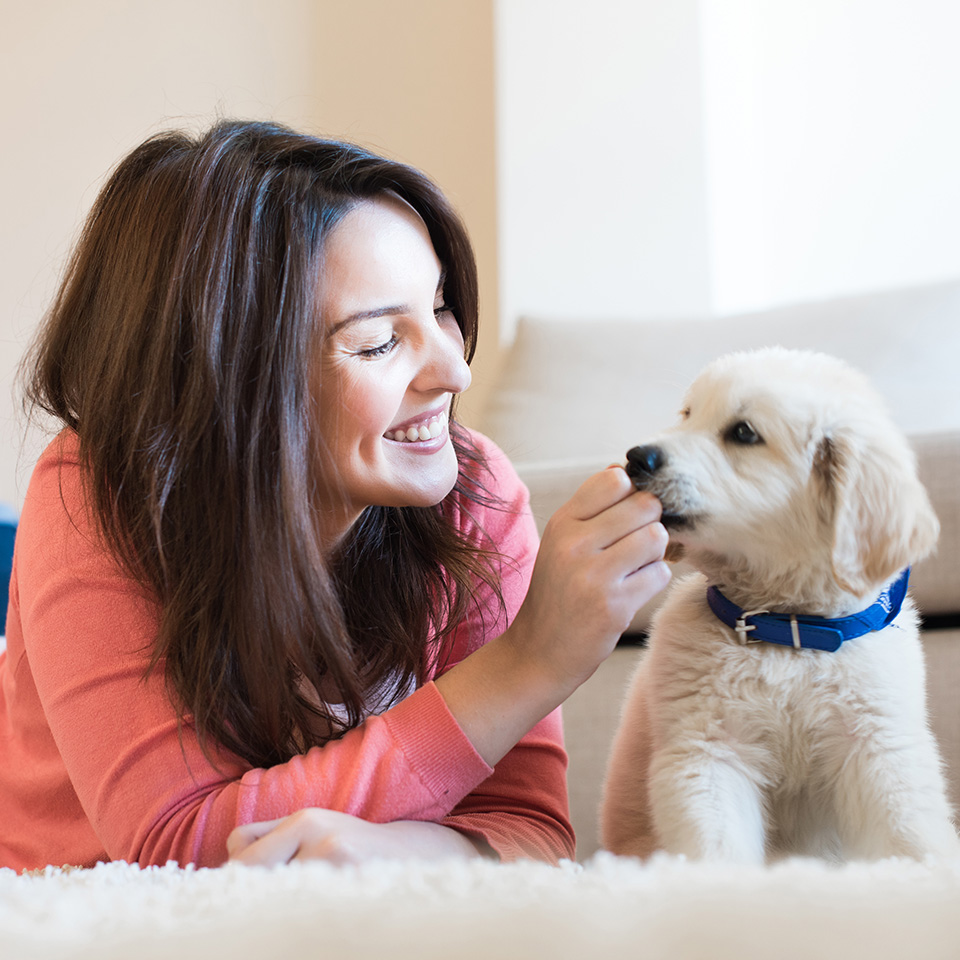 A woman affectionately pets a dog lying on the floor