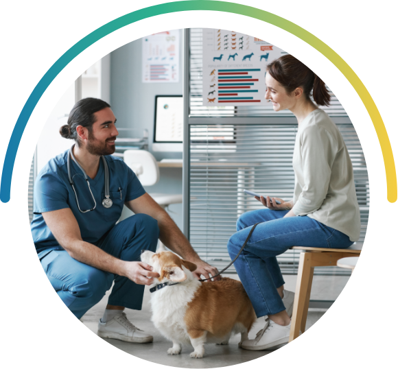 Veterinarian in scrubs with stethoscope interacting with a corgi dog in a clinic