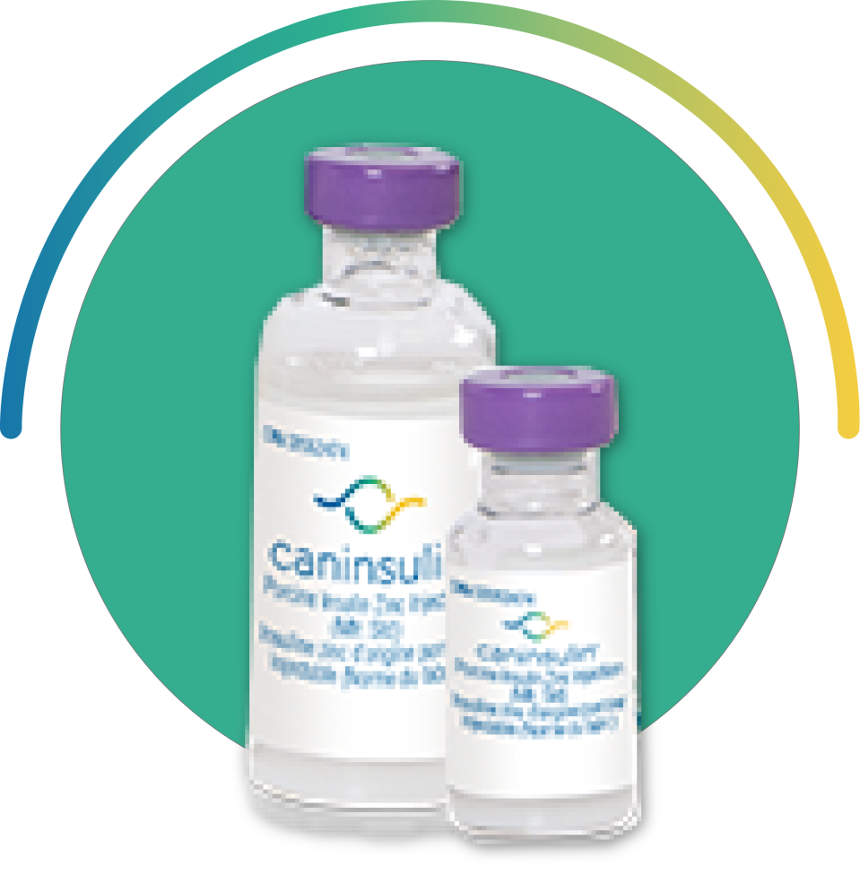 Caninsulin vials