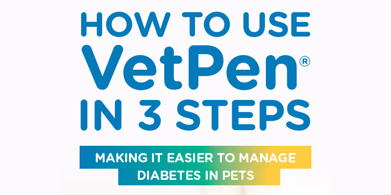 The text in the image reads:

“HOW TO USE VetPen® IN 3 STEPS MAKING IT EASIER TO MANAGE DIABETES IN PETS”