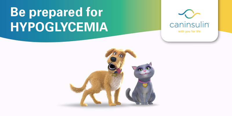 An image featuring a dog and a cat, with a text ‘Be prepared for HYPOGLYCEMIA’.