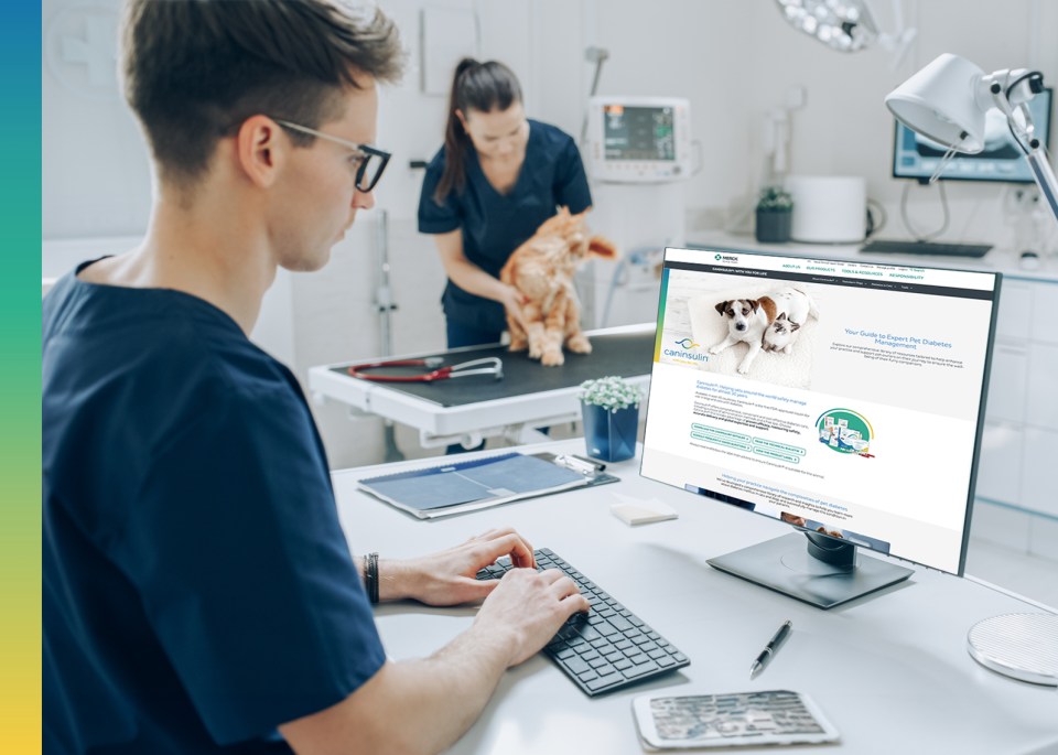 The image depicts a veterinary clinic with two veterinarians, one at a desk with a computer displaying pet services, and the other holding an orange cat on an examination table.